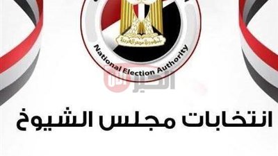 موعد انتخابات مجلس الشيوخ 2025 بالداخل والخارج.. الجدول الزمني بالتفصيل