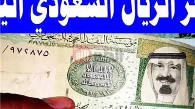 سعر الريال السعودي اليوم الخميس 3 يوليو 2025 مقابل الجنيه المصري بالبنوك