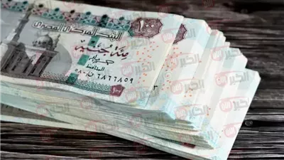 معاش شهري لربات البيوت من التأمينات الاجتماعية بـ7 جنيهات فقط.. التفاصيل كاملة