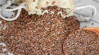 فوائد بذور الكتان للشعر لا تحصى.. سر طبيعي لشعر أطول وأنعم