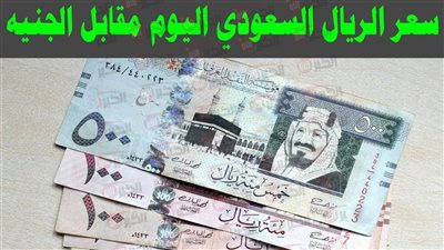 ارتفاع سعر الريال السعودي اليوم في البنوك مقابل الجنيه المصري.. ما السبب؟