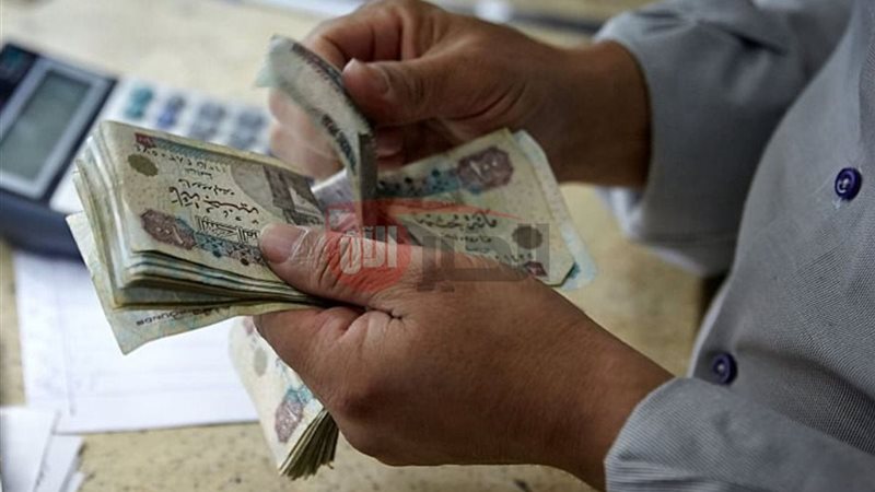 زيادة المعاشات