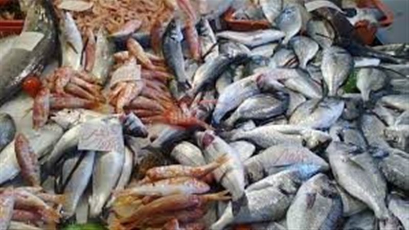 اسعار السمك اليوم