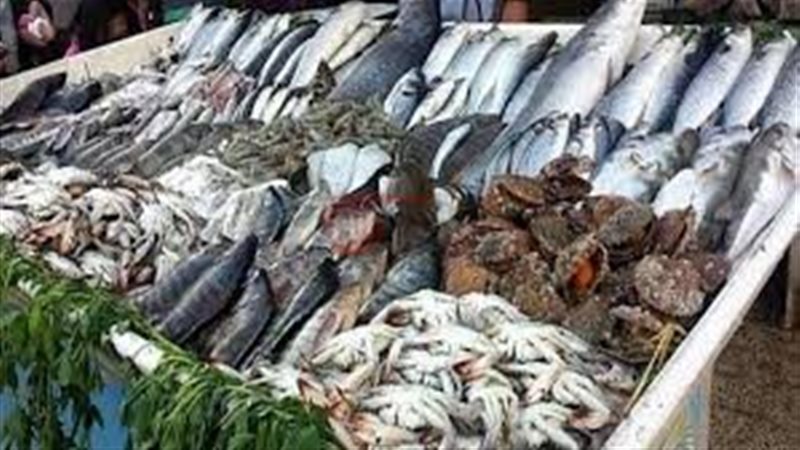 اسعار السمك اليوم