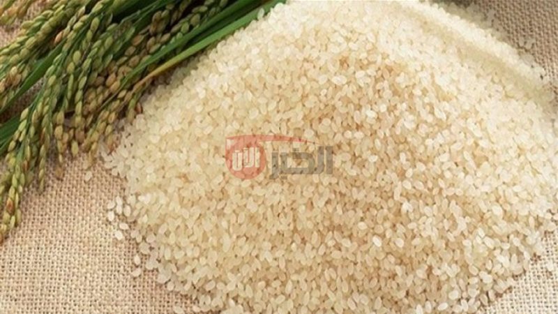 سعر الارز الشعير