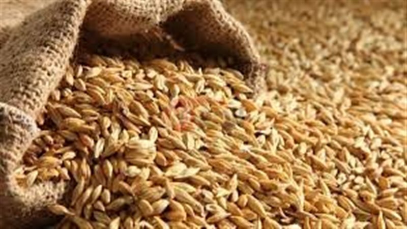 سعر طن الارز الشعير