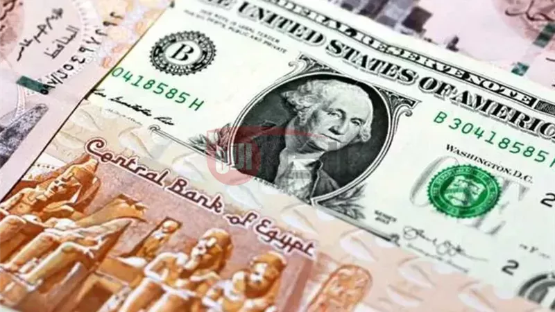 سعر الدولار اليوم