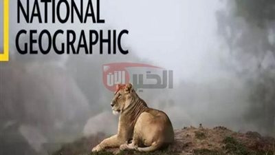 تردد قناة ناشيونال جيوغرافيك نايل سات 2025.. رحلة استكشافية من منزلك