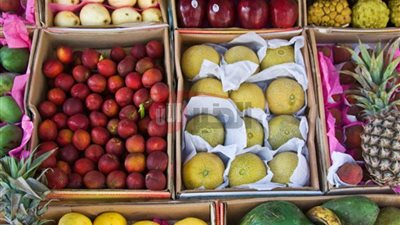 قائمة أسعار الفاكهة بسوق العبور اليوم السبت 12-7-2025.. آخر تحديث