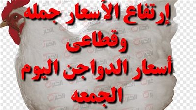 بورصة الدواجن اليوم في مصر.. تحديثات جديدة لأسعار الفراخ والكتاكيت والبيض