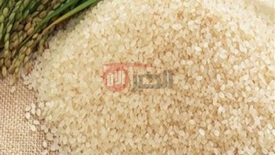 سعر الأرز الشعير اليوم السبت 19-7-2025 في الأسواق المحلية والمضارب