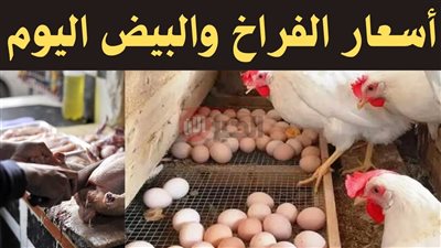 ارتفاع سعر كرتونة البيض اليوم للمستهلك في الاسواق المصرية (احمر وابيض وبلدي)