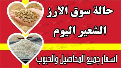 سعر الأرز الشعير اليوم الثلاثاء 22 يوليو 2025 للمستهلك والتجار (رفيع وعريض)