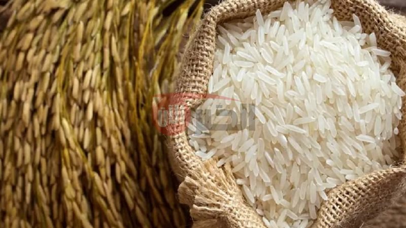 سعر الارز الشعير