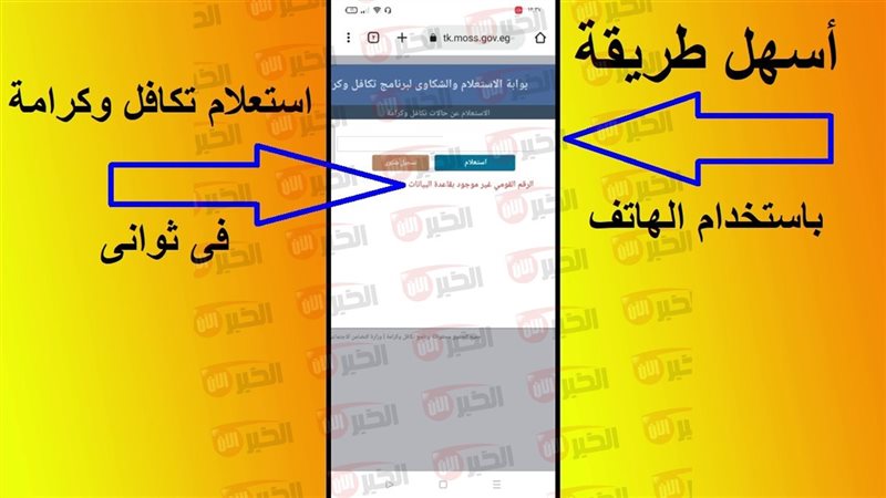 الاستعلام عن الأسماء