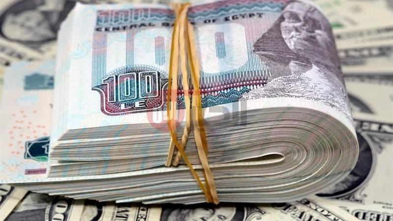 سعر الدولار مقابل