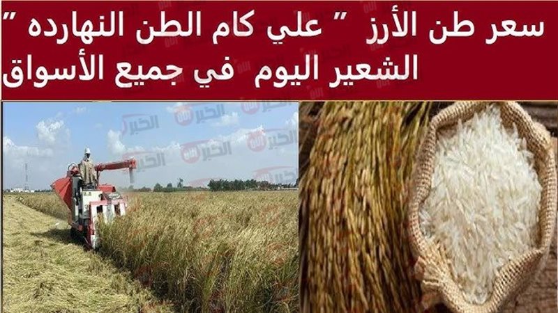 سعر الأرز الشعير