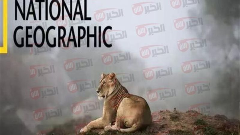 تردد قناة ناشيونال
