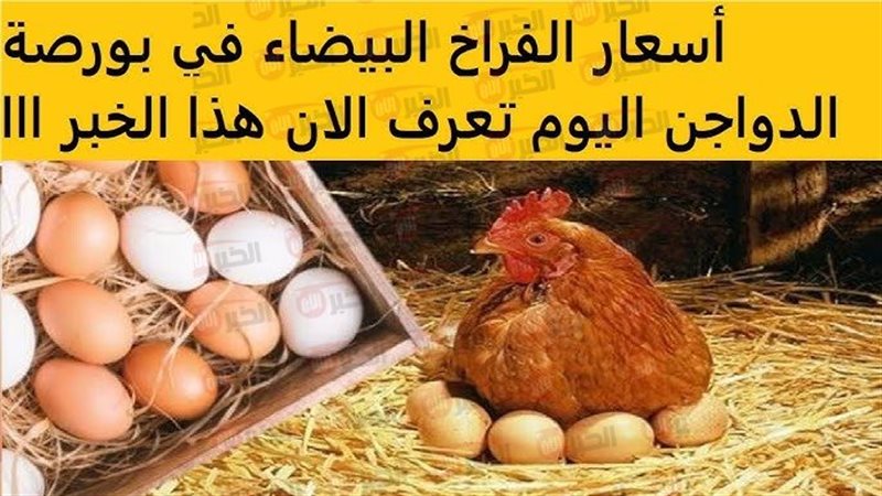 بورصة الدواجن اليوم