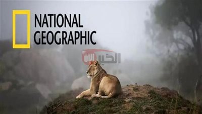 تردد قناة ناشيونال جيوغرافيك نايل سات 2025.. مفتاحك لعالم استكشاف بلا حدود