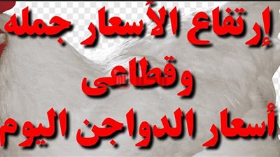 قفزة جديدة لأسعار الفراخ البيضاء في بورصة الدواجن اليوم.. 2 جنيه للكيلو