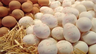 (احمر وابيض وبلدي) سعر كرتونة البيض اليوم للمستهلك في الاسواق المصرية