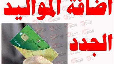 كيفية إضافة مواليد وزارة التموين عبر بوابة مصر الرقمية (الشروط والفئات المستحقة)