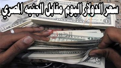 ارتفاع سعر الدولار مقابل الجنيه المصري اليوم في البنوك.. الأسباب والتوقعات المستقبلية