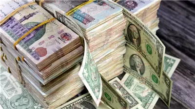 سعر الدولار مقابل الجنيه المصري يرتفع 3 قروش في بعض البنوك المحلية