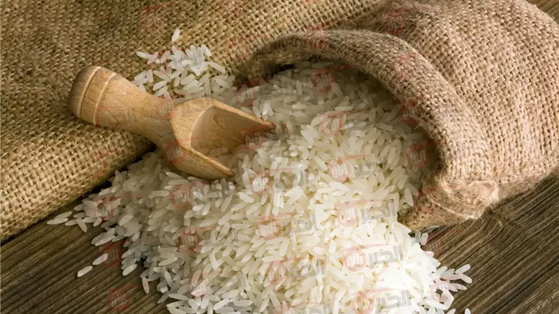 سعر الأرز الشعير