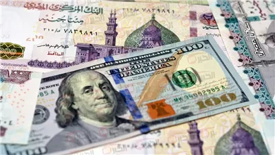 سعر الدولار مقابل الجنيه المصري اليوم 2025.. يستقر قرب أدنى مستوى له