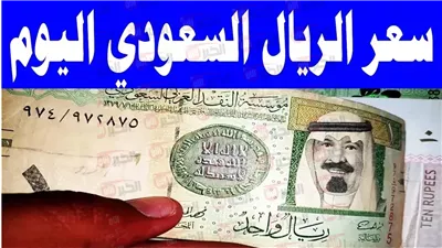 تراجع سعر الريال السعودي مقابل الجنيه المصري اليوم الثلاثاء 5-8-2025 في البنوك