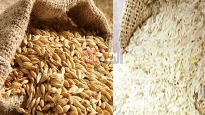 سعر الأرز الشعير اليوم الأربعاء 6 أغسطس 2025 في الاسواق المصرية